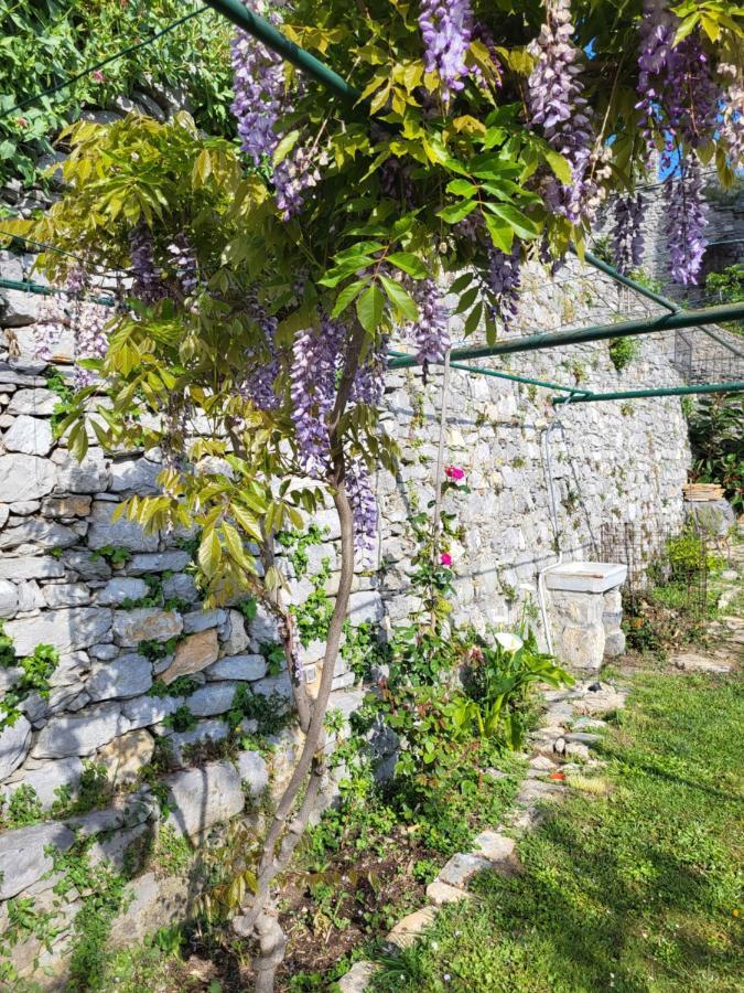 La Bouganvilla Портовенере Екстериор снимка